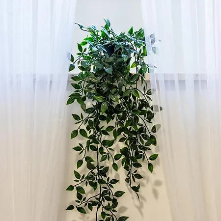 Zeus Downtown سبليت