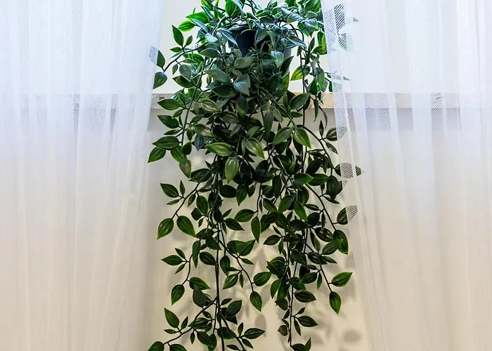 Zeus Downtown ספליט