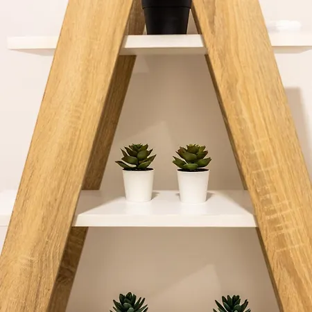 公寓 Zeus Downtown *